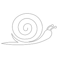 snail 001